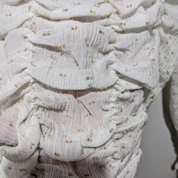 Zara | Crop top with Dotted Mesh - Picture 6 of 10